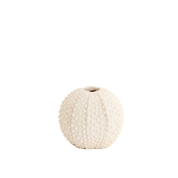 Light & Living Vaas deco Ø16x14 cm SEA URCHIN crème