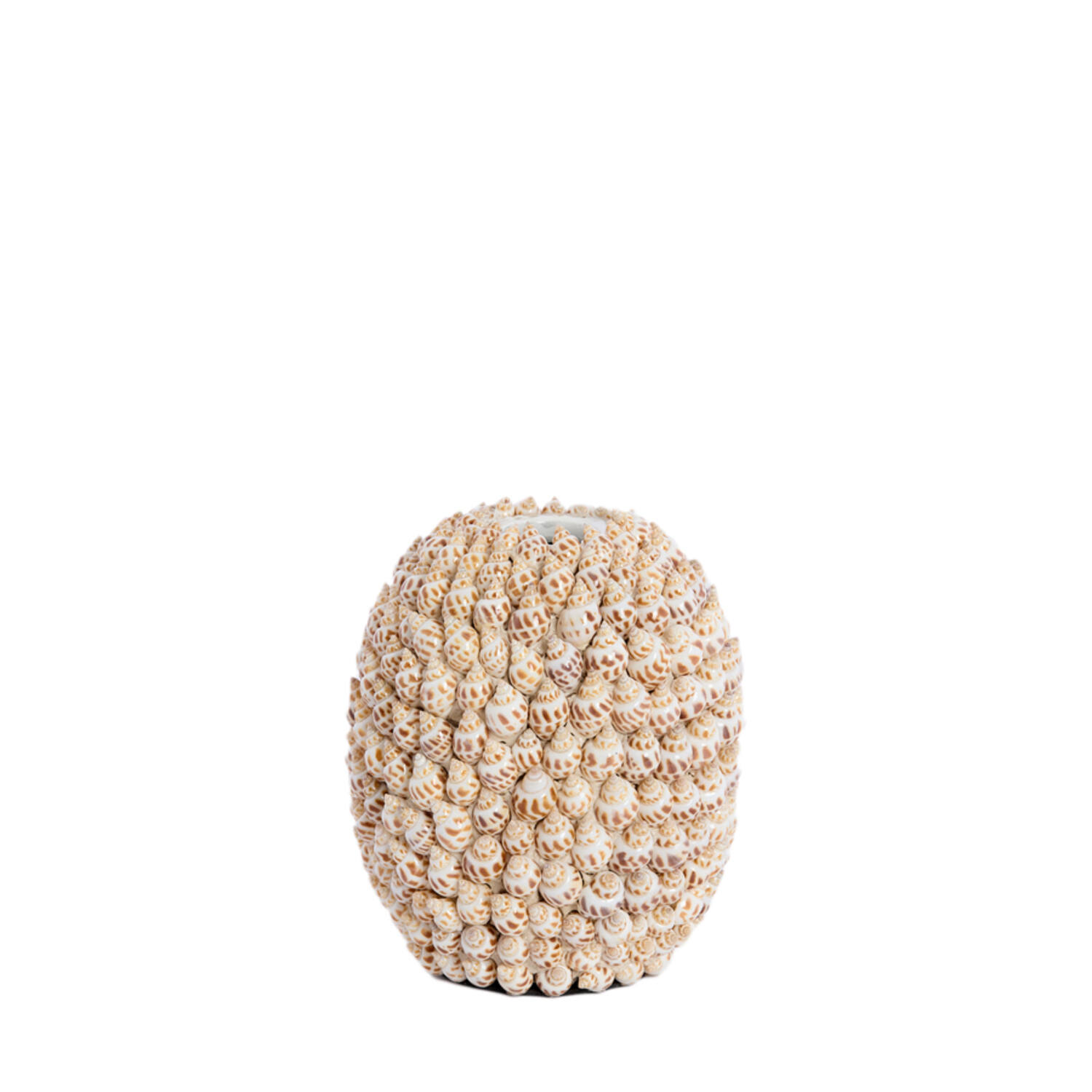 Light & Living Vaas deco Ø15,5x17,5 cm SHELL crème+bruin