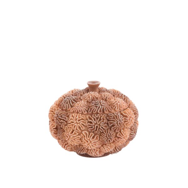 Light & Living Deco box+deksel Ø20x15,5 cm CORAL perzik-licht bruin
