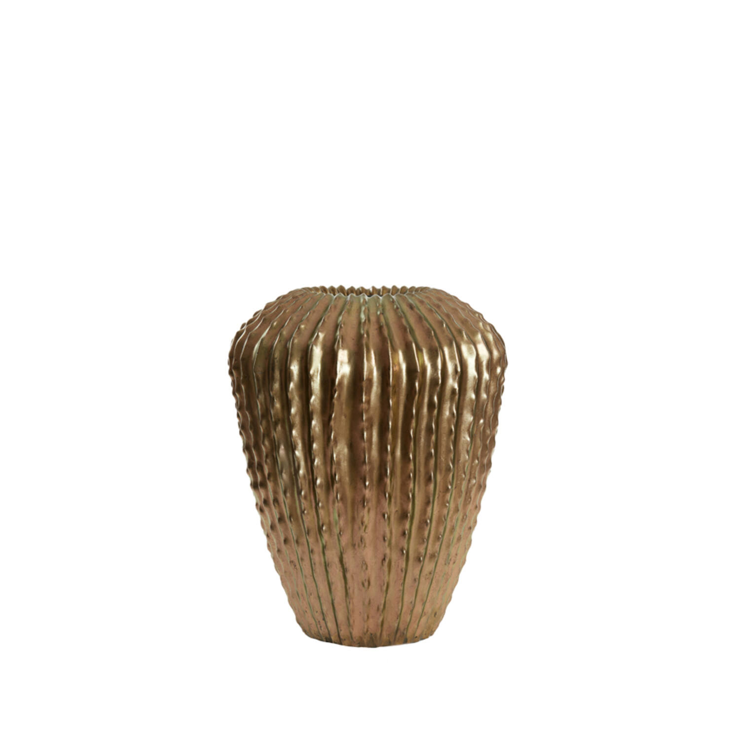 Light & Living Vaas deco Ø52x65 cm CACTI antiek brons