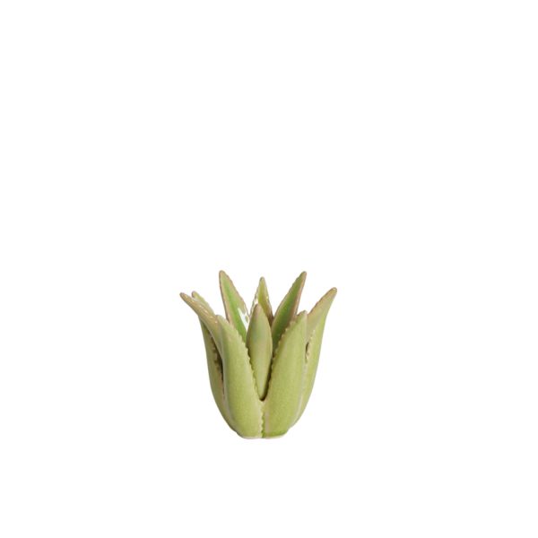 Light & Living Kandelaar Ø11,5x11,5 cm CACTUS keramiek licht groen