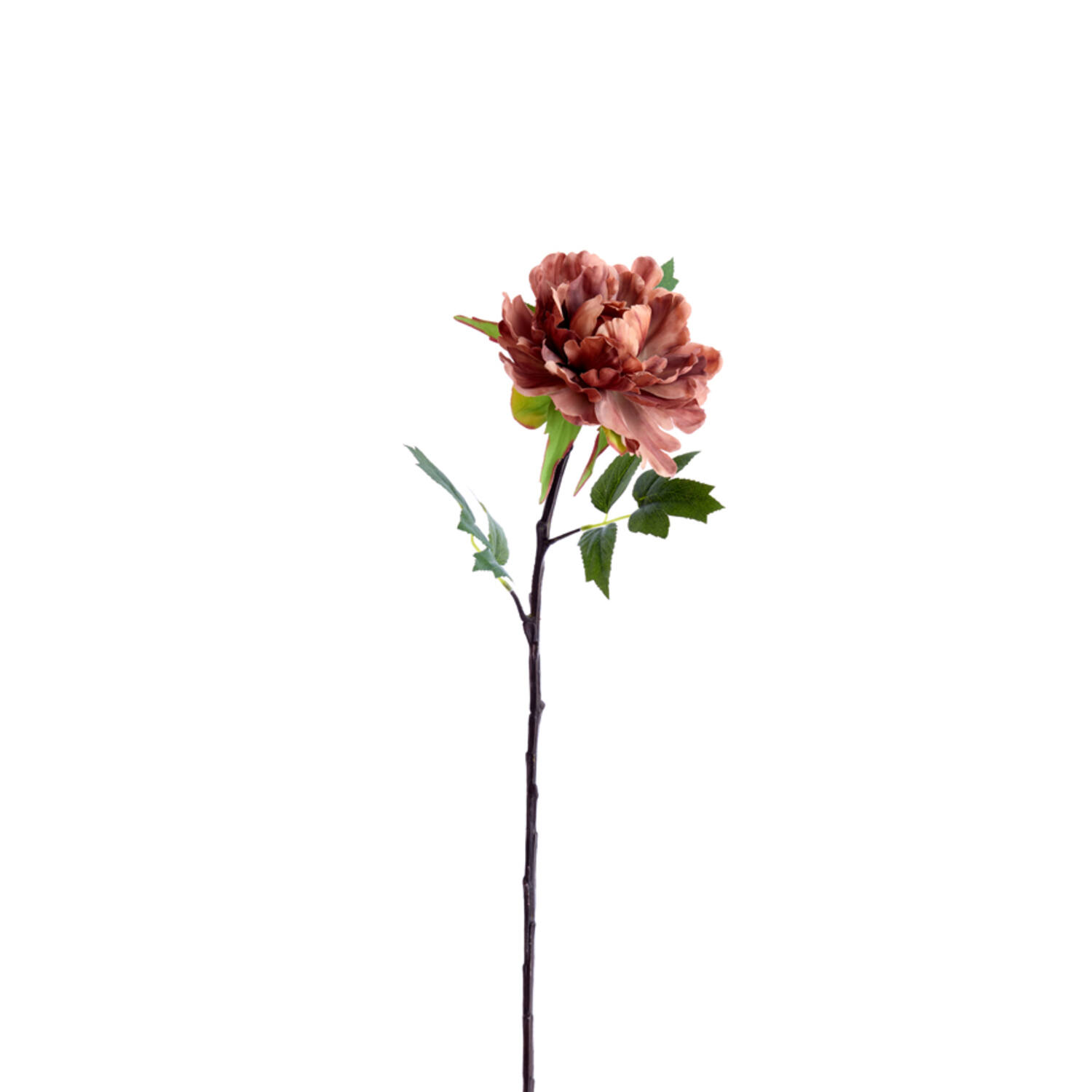Light & Living Kunstbloem 65x15x10 cm PEONIA oranje-bruin