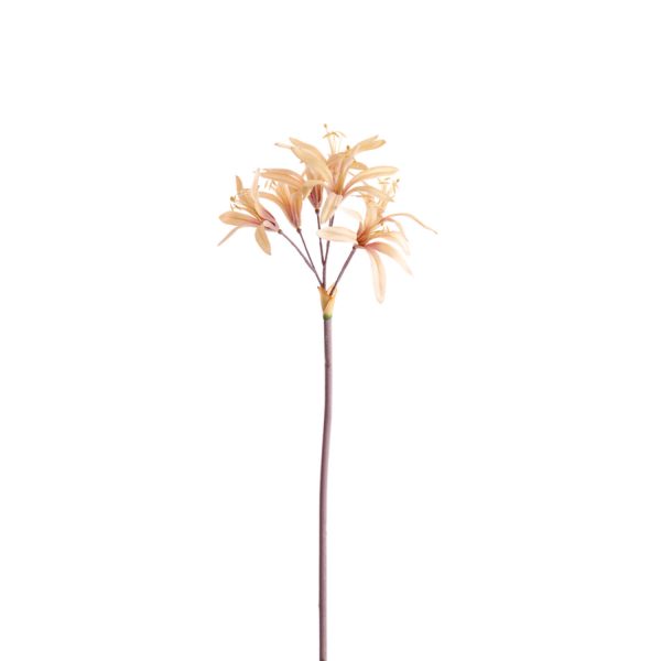Light & Living Kunstbloem 86x13x13 cm LYCORIS beige