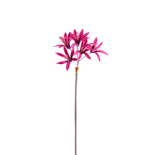 Light & Living Kunstbloem 86x13x13 cm LYCORIS roze