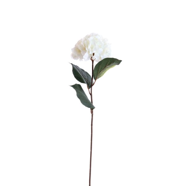 Light & Living Kunstbloem 72x18x18 cm HORTENSIA crème