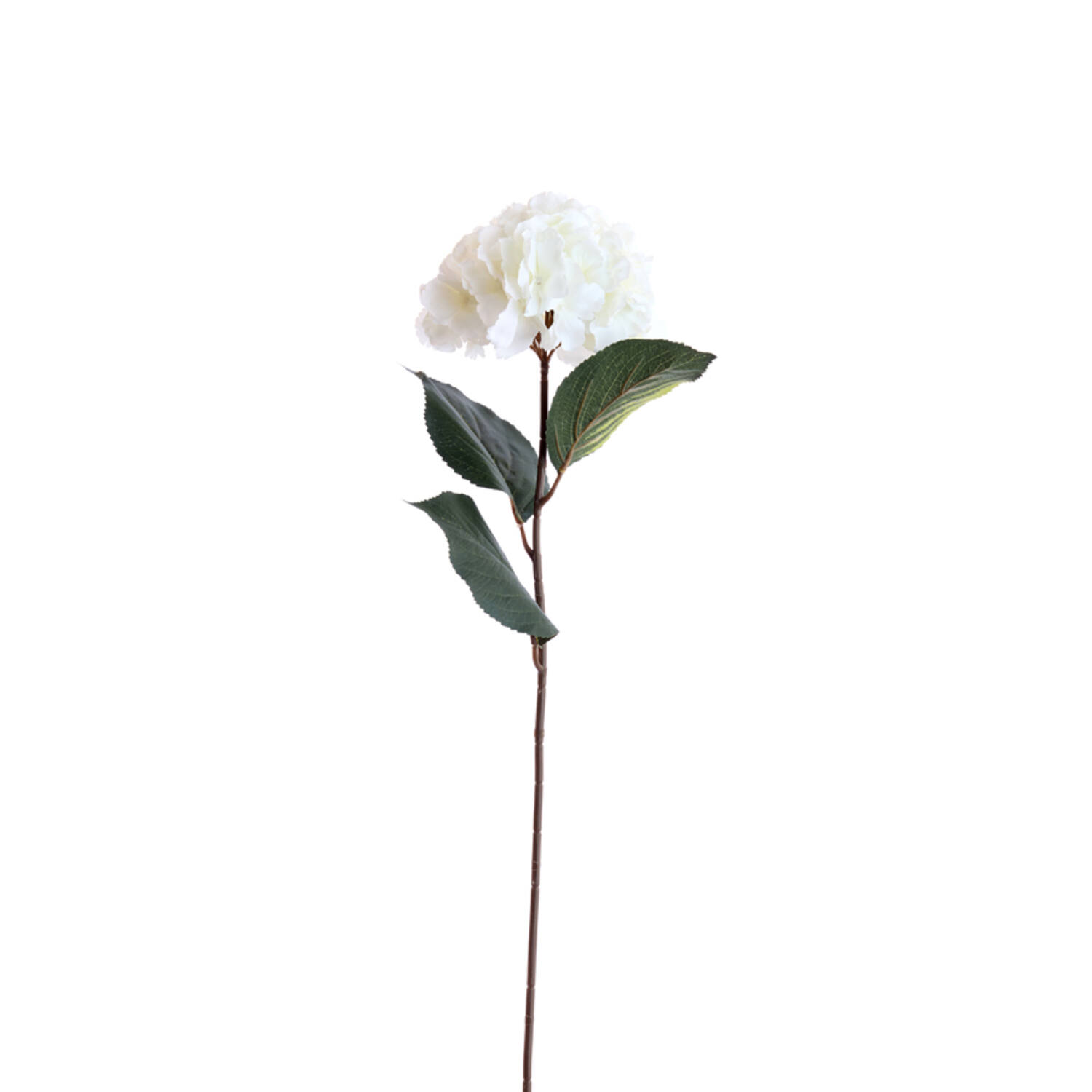 Light & Living Kunstbloem 72x18x18 cm HORTENSIA crème