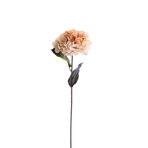 Light & Living Kunstbloem 72x18x18 cm HORTENSIA perzik-crème