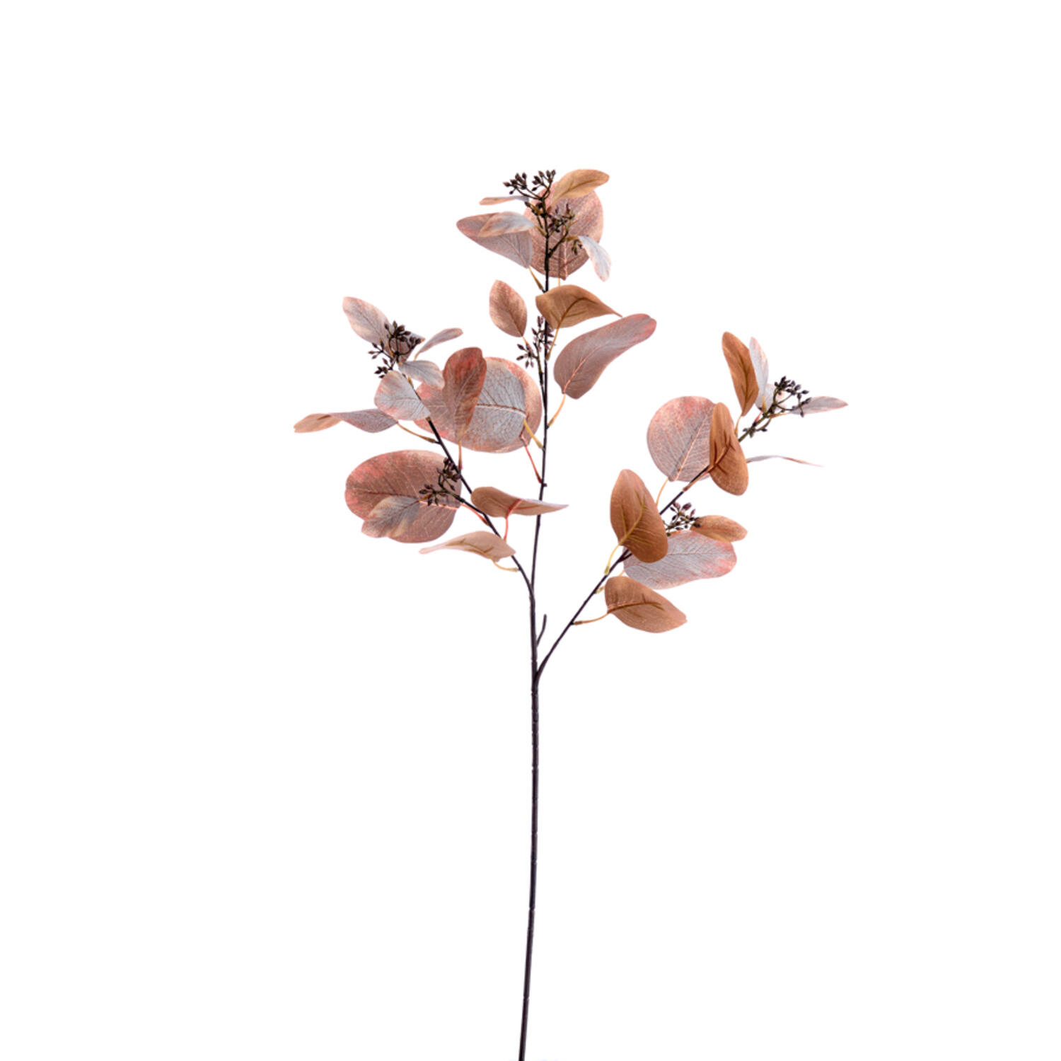 Light & Living Kunstbloem 84x25x10 cm EUCALYPTO donker bruin-grijs