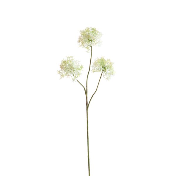 Light & Living Kunstbloem 76x18x18 cm RADIATA crème