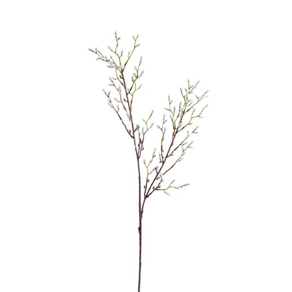 Light & Living Kunstbloem 90x20x5 cm CATKINS crème