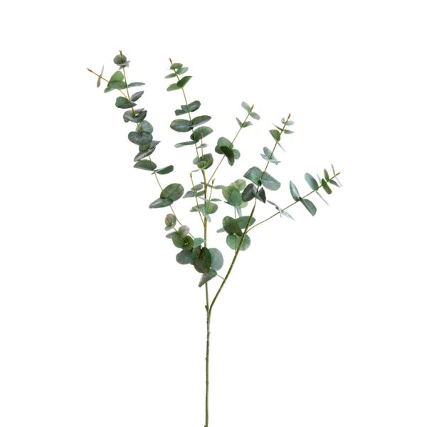 Light & Living Kunstbloem 98x25x10 cm EUCALYPTO groen