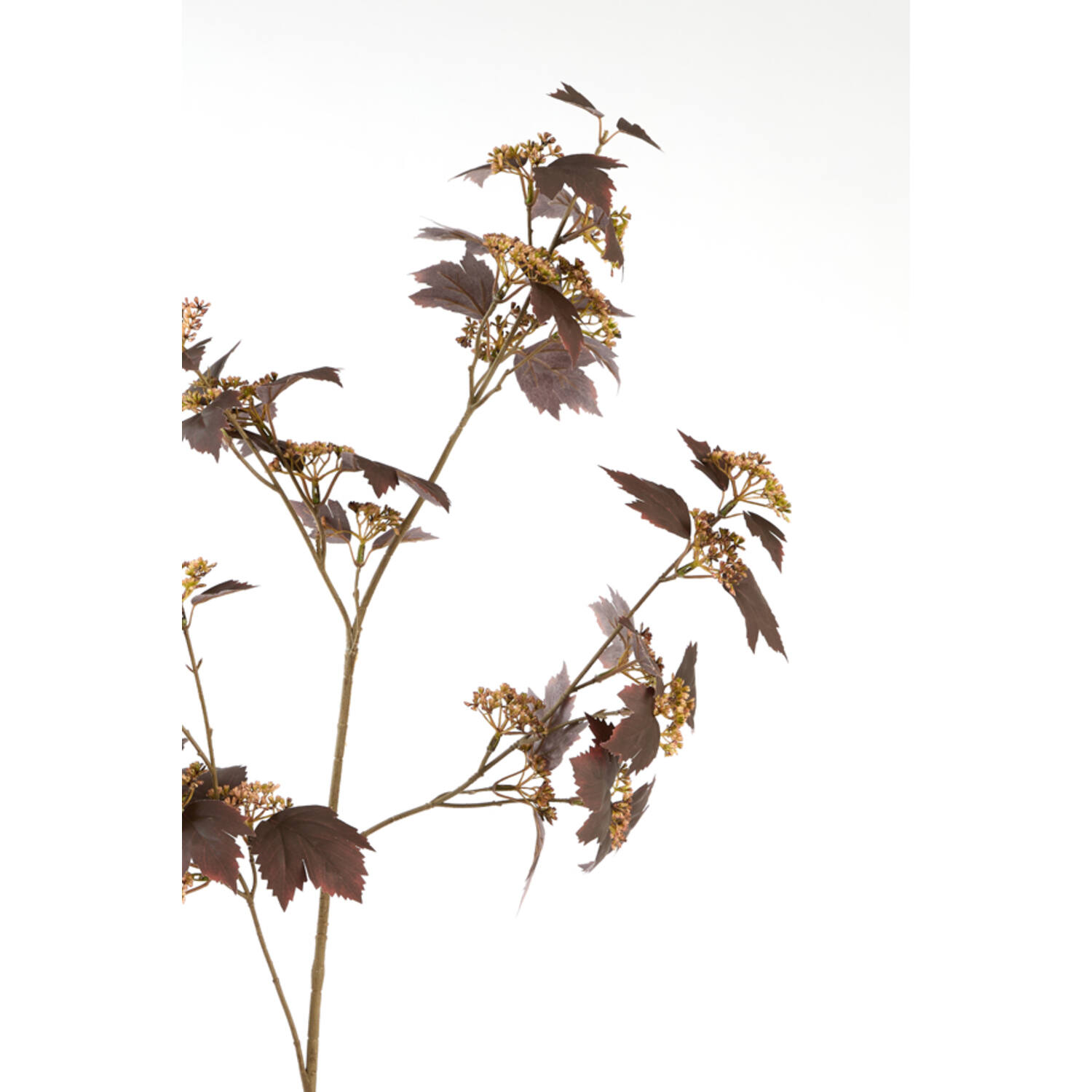 Light & Living Kunstbloem 20x10x110 cm MAPLE bordeaux-donker bruin