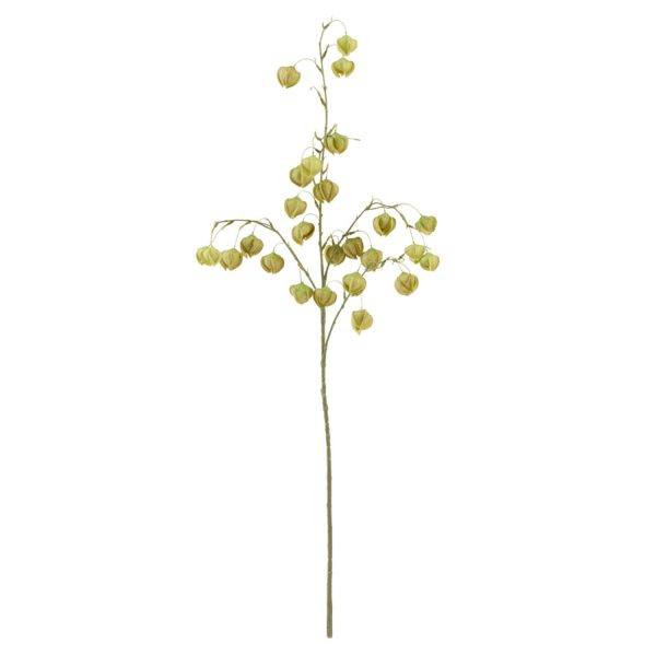 Light & Living Kunstbloem 20x10x100 cm PHYSALIS licht groen