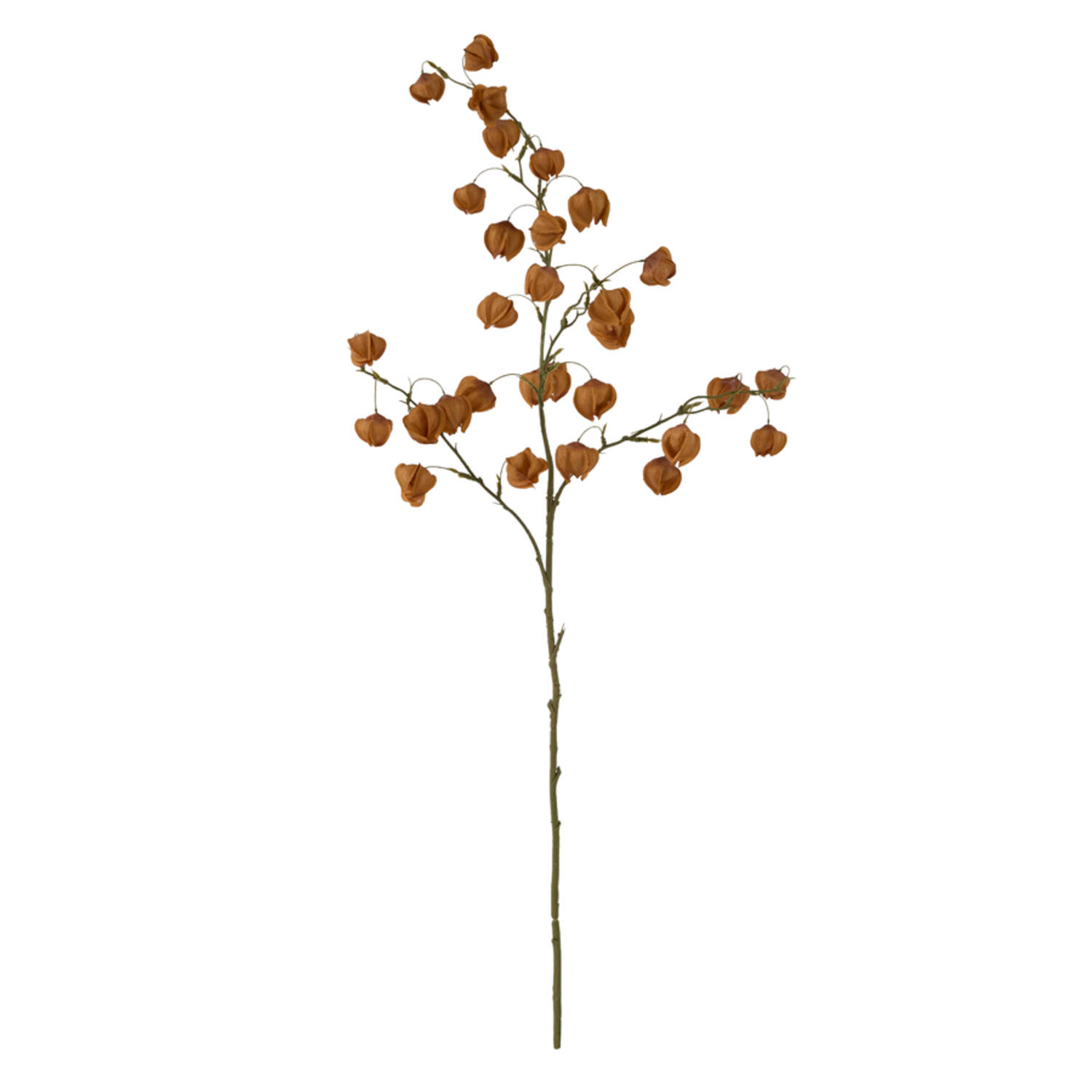 Light & Living Kunstbloem 20x10x100 cm PHYSALIS terra-oranje