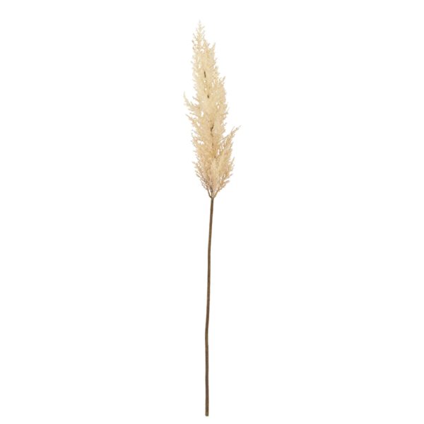 Light & Living Kunstbloem 10x10x96 cm PAMPAS beige