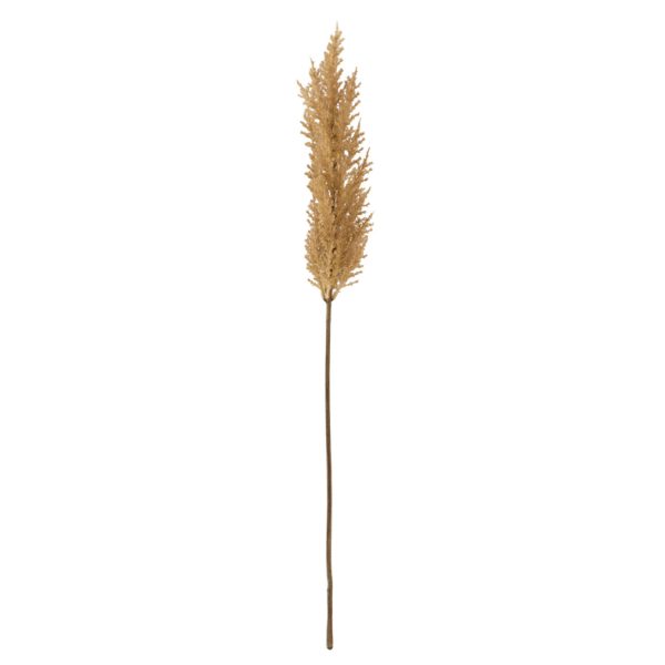Light & Living Kunstbloem 10x10x96 cm PAMPAS bruin