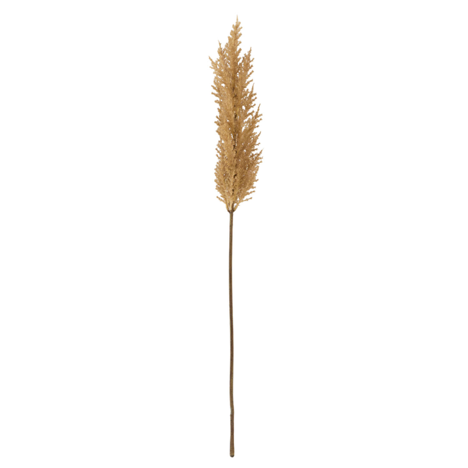 Light & Living Kunstbloem 10x10x96 cm PAMPAS bruin