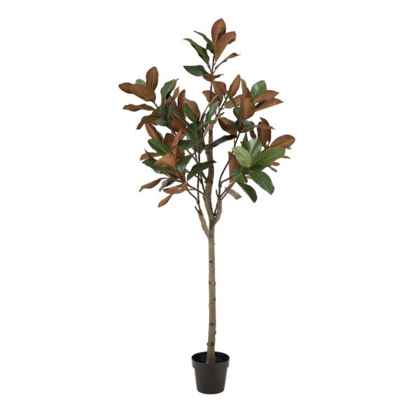 Light & Living Kunstboom Ø60x180 cm MAGNOLIA groen+bruin