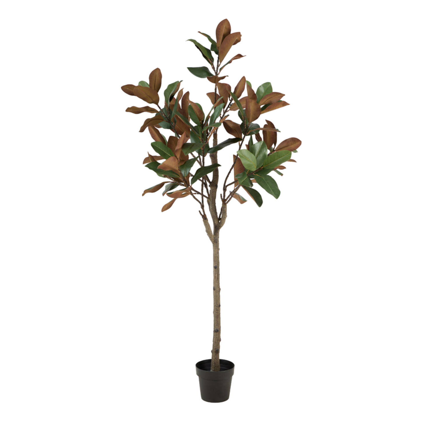 Light & Living Kunstboom Ø60x180 cm MAGNOLIA groen+bruin