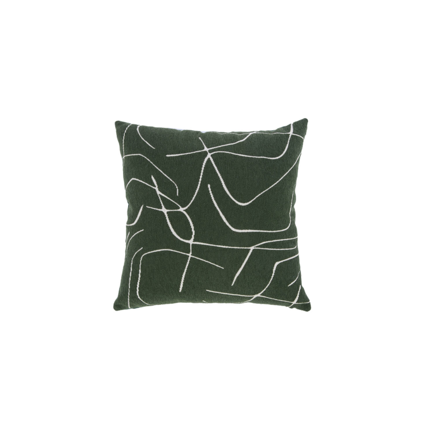 Light & Living Kussen 45x45 cm ROYCE groen-wit