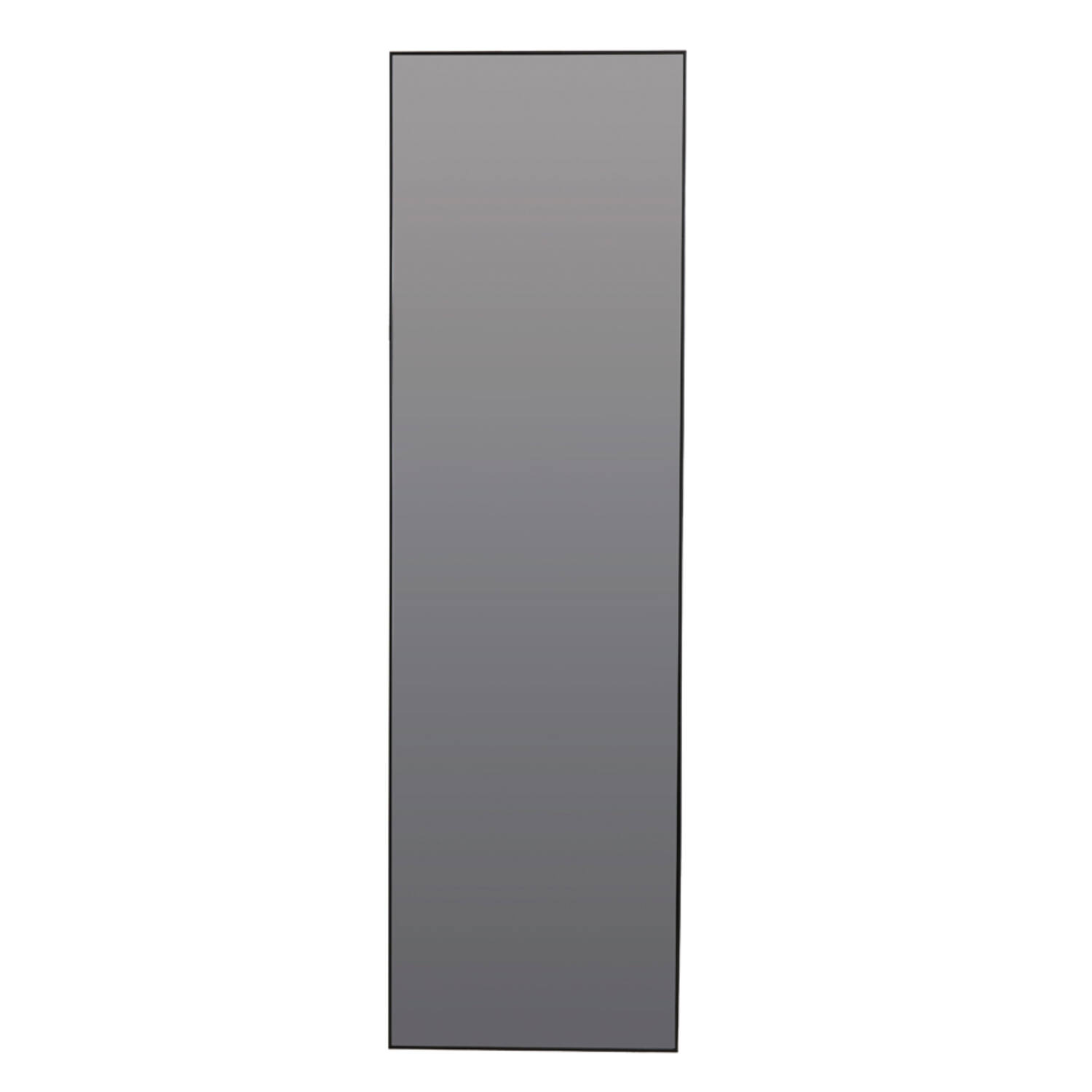 Light & Living Spiegel 50x1,5x170 cm ZENETA smoke glas+zwart