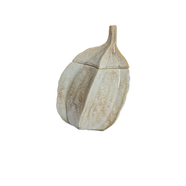 Light & Living Deco box 21x20,5x31 cm SABARA glans zand