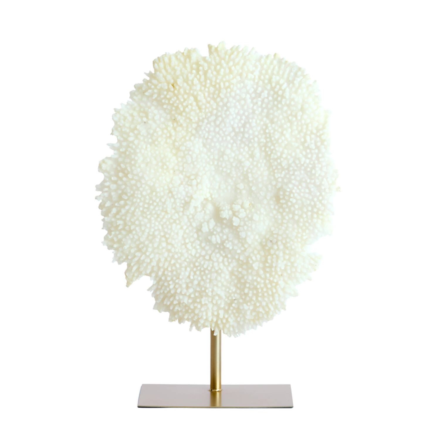 Light & Living Ornament op voet 46x20x69 cm CORAL crème+antiek brons