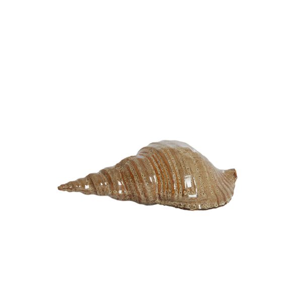 Light & Living Ornament 27,5x12,5x9 cm SHELL keramiek bruin