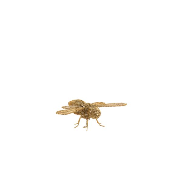 Light & Living Ornament 24x14,5x5,5 cm CICADA goud