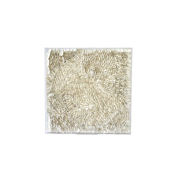 Light & Living Wandornament 80x6x80 cm XELHU crème+helder