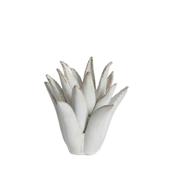 Light & Living Theelicht Ø21x21 cm CACTUS keramiek crème