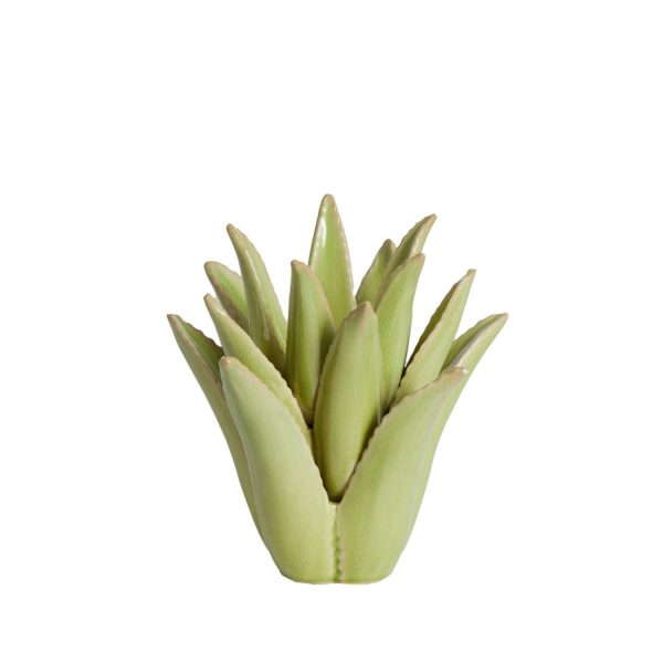 Light & Living Theelicht Ø21x21 cm CACTUS keramiek licht groen