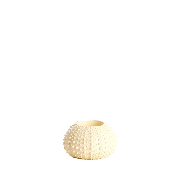 Light & Living Theelichthouder Ø9x6 cm SEA URCHIN crème