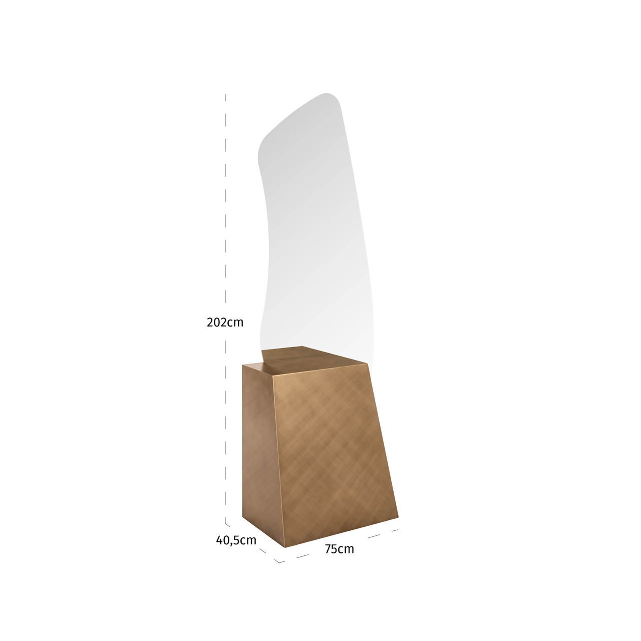 Richmond Interiors Spiegel Mayla brushed gold