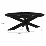 Livingfurn Oslo Oval Black130 cm