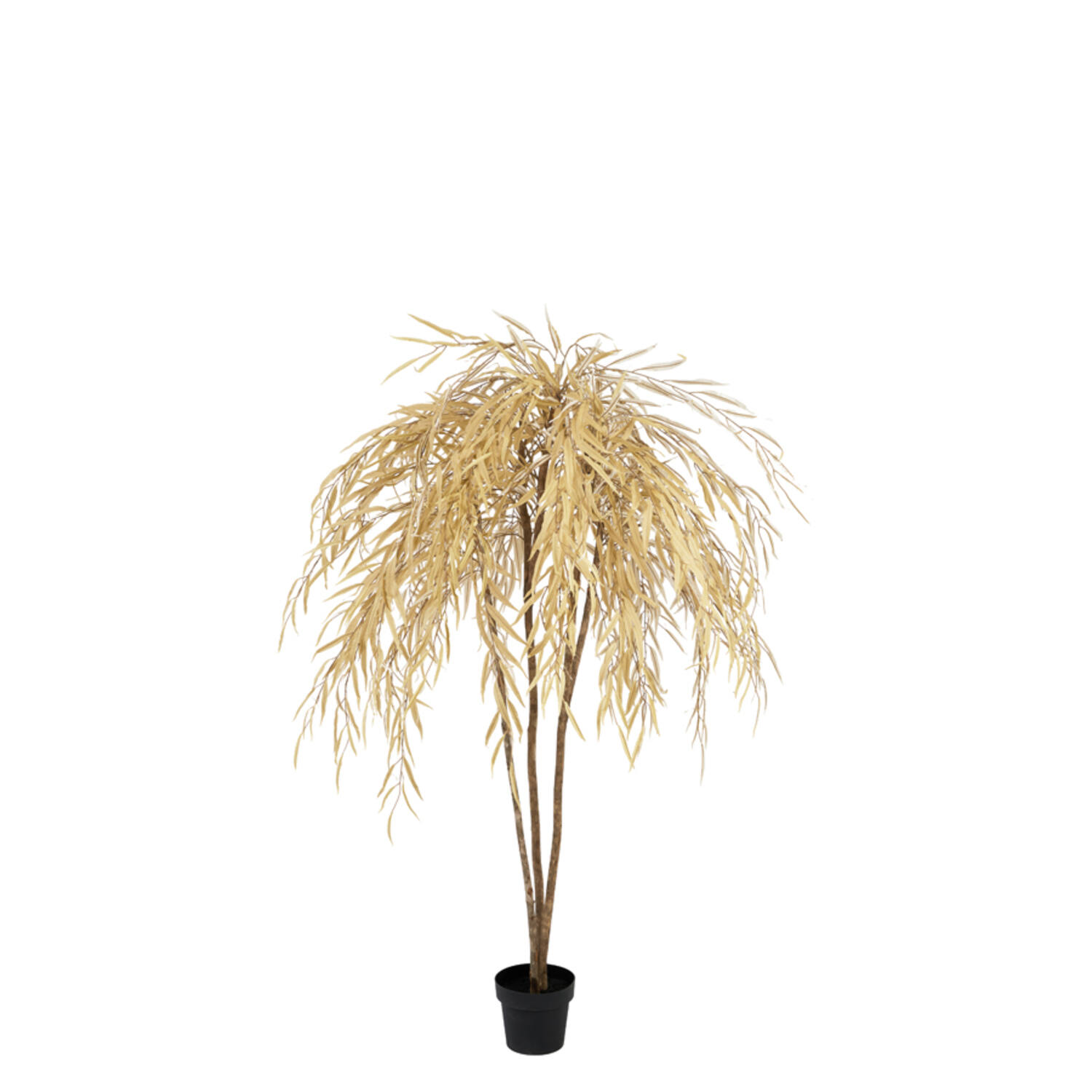 Light & Living Kunstboom 90x80x180 cm WILLOW beige