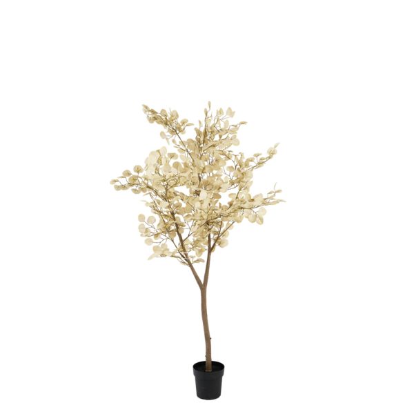 Light & Living Kunstboom 100x80x195 cm EUCALYPTUS beige