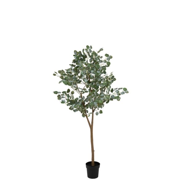 Light & Living Kunstboom 100x80x195 cm EUCALYPTUS groen
