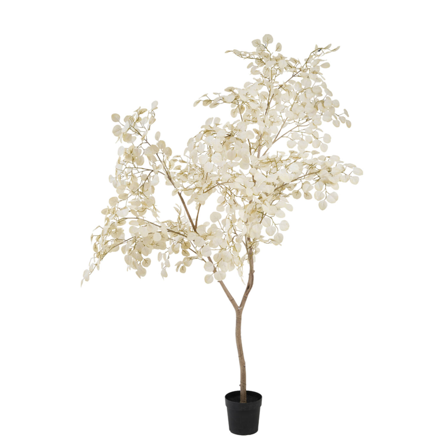 Light & Living Kunstboom 130x100x250 cm EUCALYPTUS beige