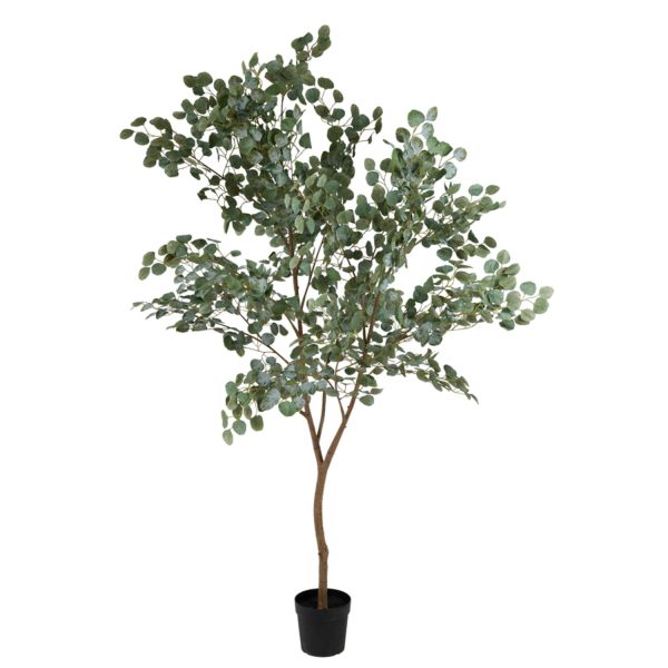 Light & Living Kunstboom 130x100x250 cm EUCALYPTUS groen