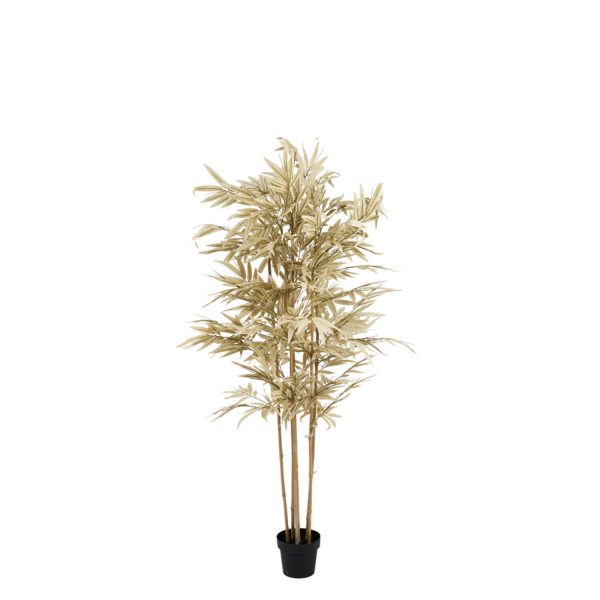 Light & Living Kunstplant Ø80x180 cm BAMBOO beige